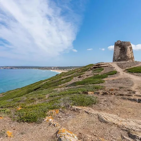 Tatil Evi Casa Glicine Torre dei Corsari